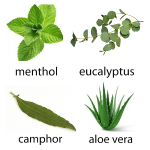 Pain Relief.cc Cream Natural Ingredients: Menthol, Eucalyptus, Camphor, Aloe Vera